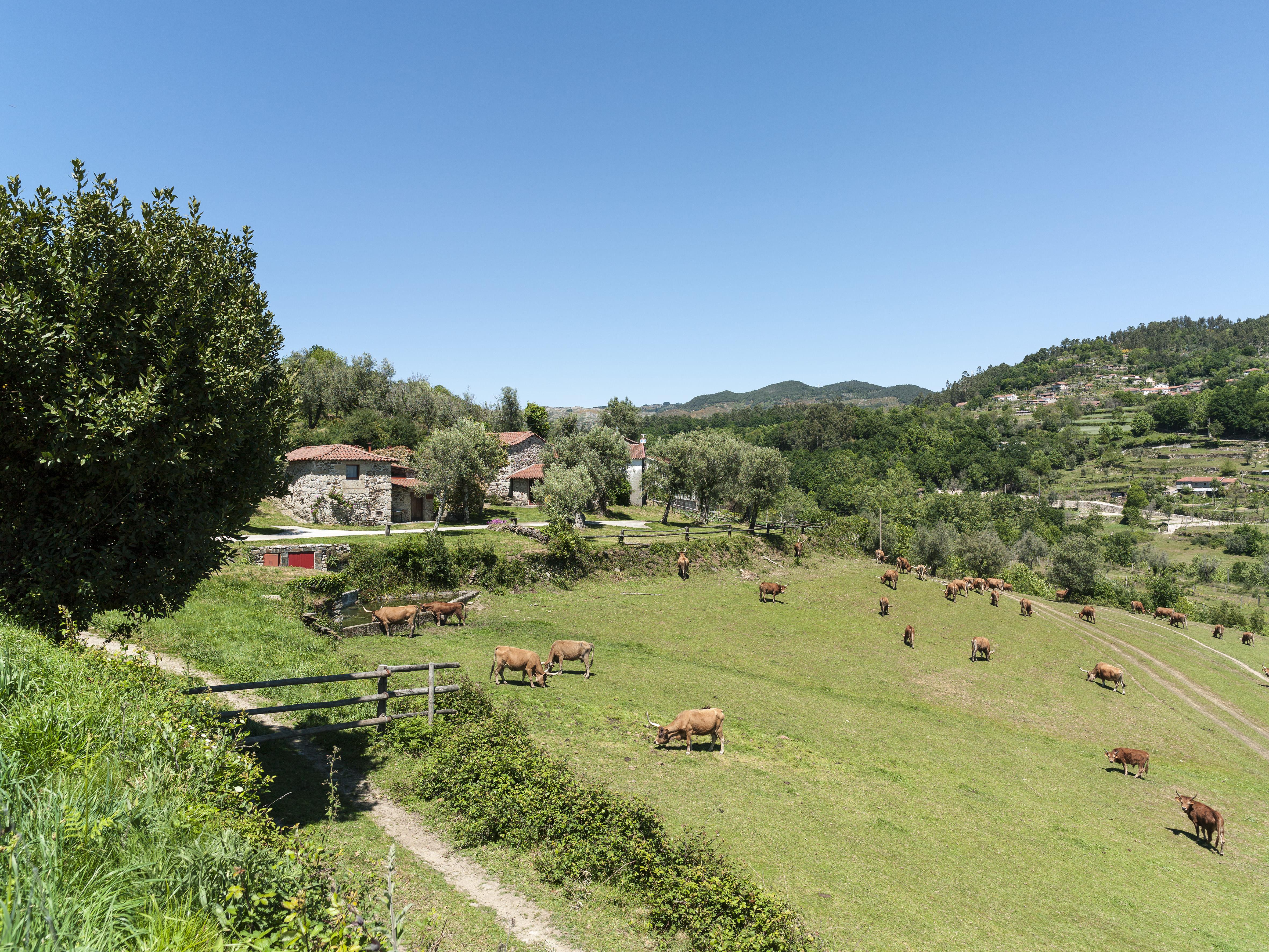 Quinta Do Rapozinho Villa Cabeceiras de Basto Exteriör bild