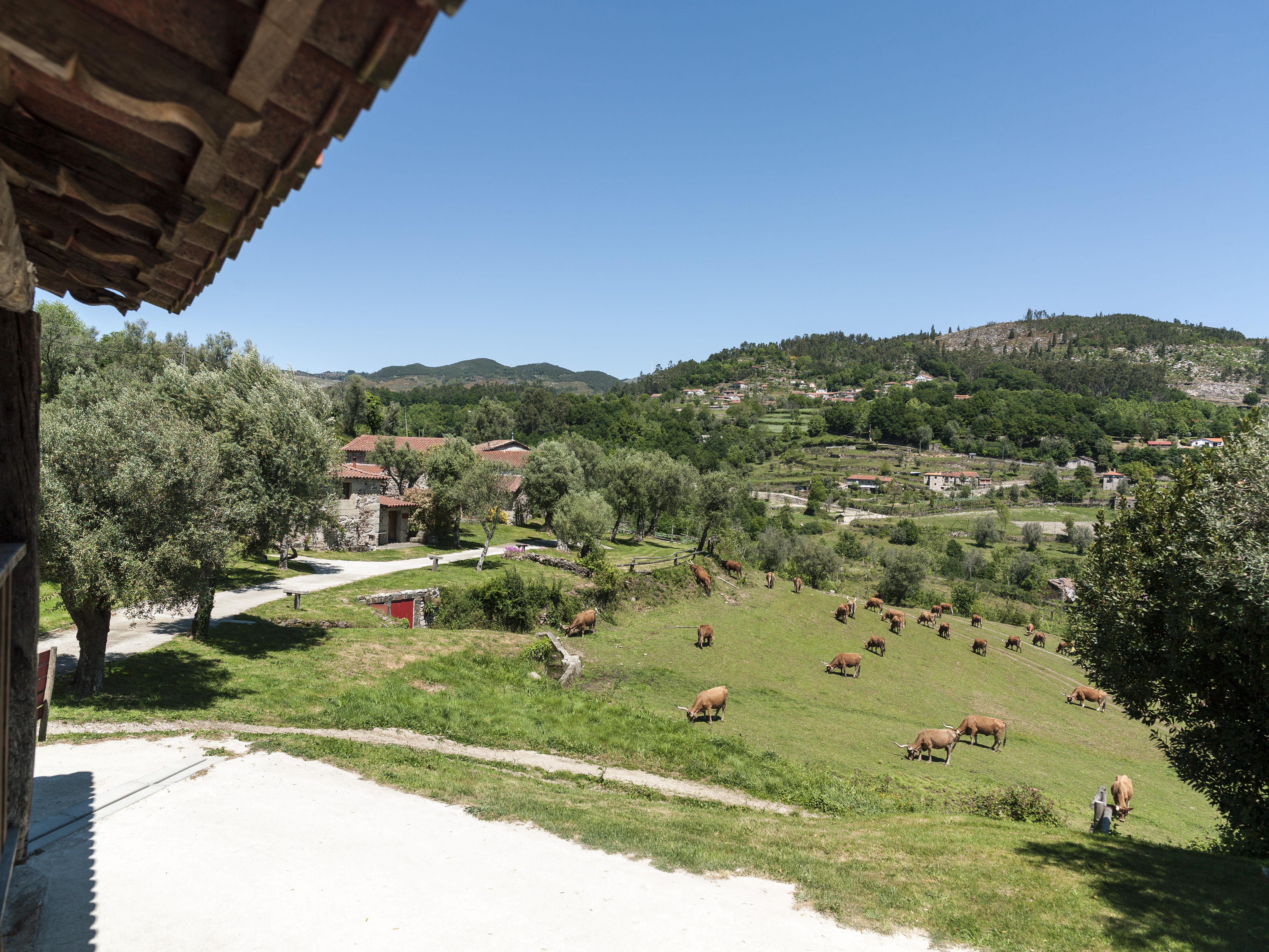 Quinta Do Rapozinho Villa Cabeceiras de Basto Exteriör bild